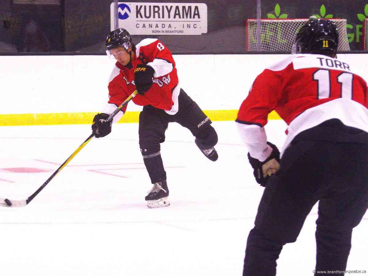 Brantford Bulldogs open training camp with a 'clean slate'