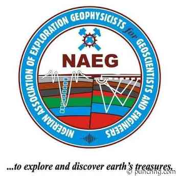Conserve lithium other strategic minerals, geophysicists urge FG