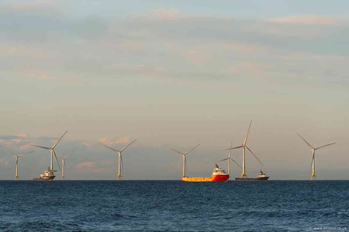 'Unbearable Stress': Britain's £6 Billion Energy Debt Crisis Deepens as Millions Struggle With Bills