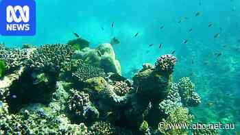 Ocean temperatures hit 'very troubling' record high, spurred by El Niño