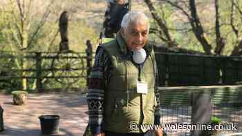 Beloved Welsh owl sanctuary run by 87-year-old to close