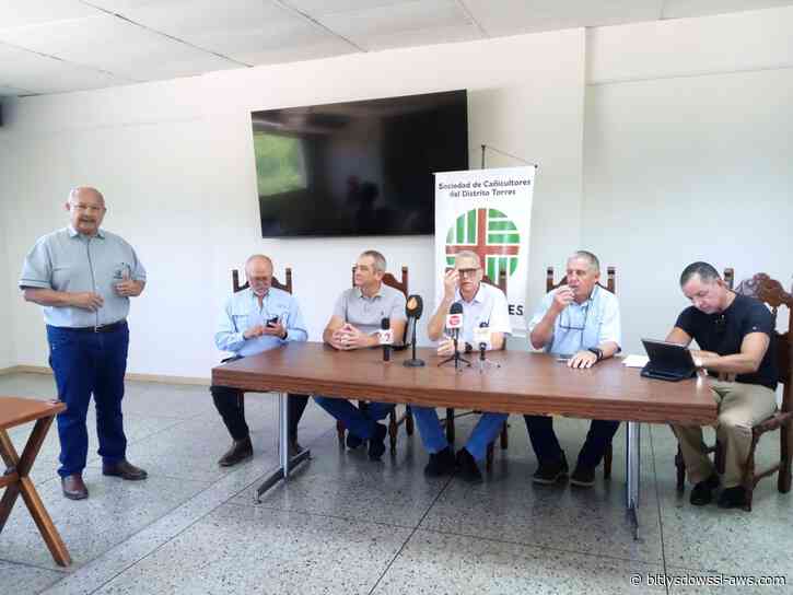 Cañicultores exigen frenar las importaciones de azúcar sin permisos que amenazan la cosecha nacional
