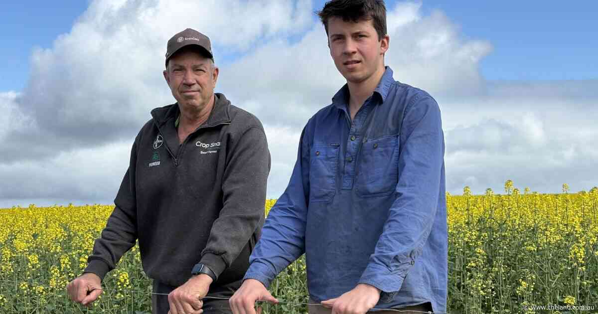 Surprise soakings leave southern growers on the cusp of unexpected success