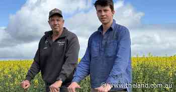 Surprise soakings leave southern growers on the cusp of unexpected success