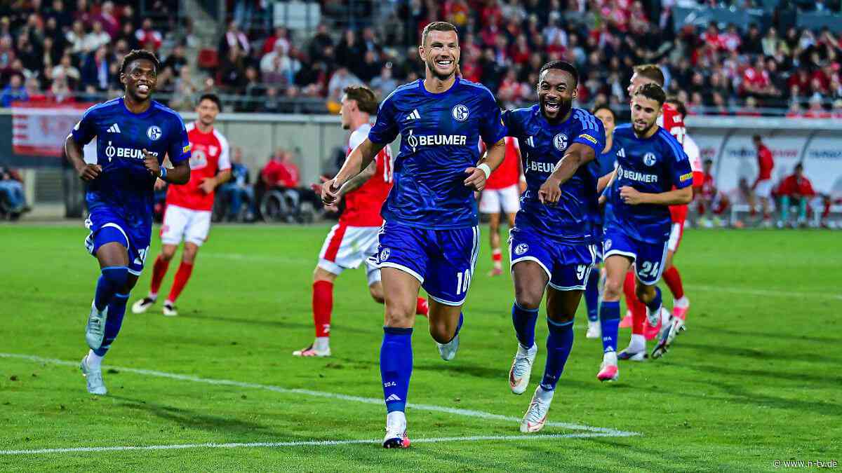Halle ärgert Aufsteiger: Im Nachsitzen macht's Schalke im DFB-Pokal deutlich