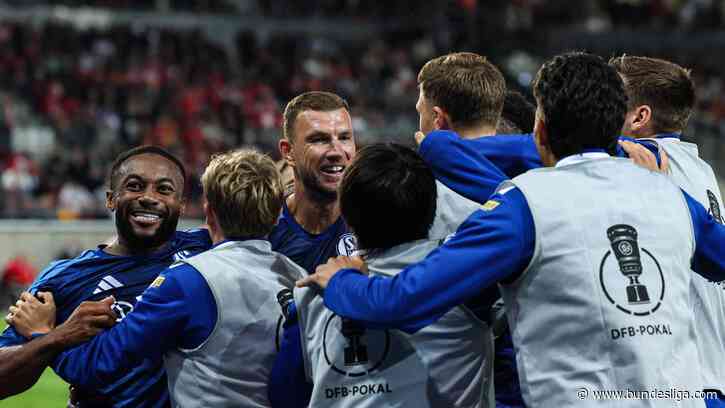 DFB-Pokal: Schalke müht sich in Halle, Krimi für Wolfsburg