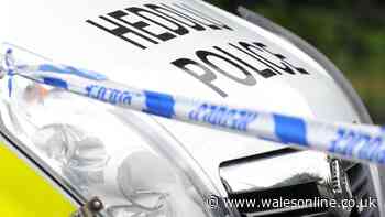 Cyclist in hospital and cars damaged as driver seen travelling wrong way down A55