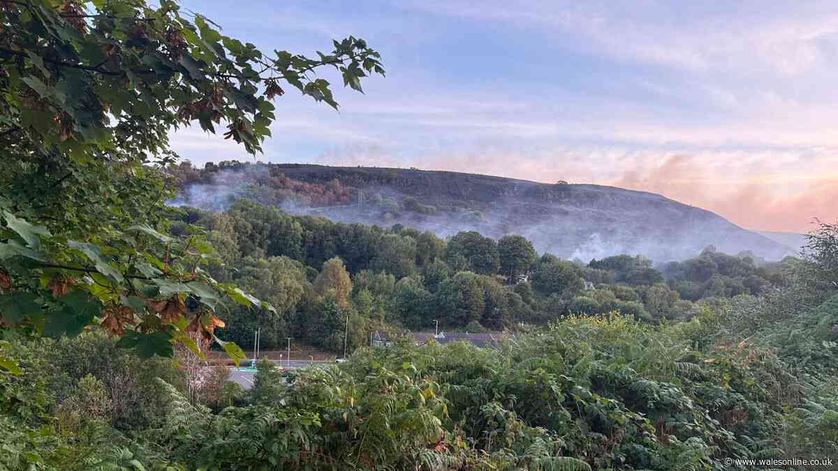 Property has 'close call' as huge wildfire in Porth shuts road