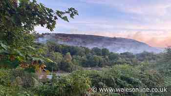 Property has 'close call' as huge wildfire in Porth shuts road