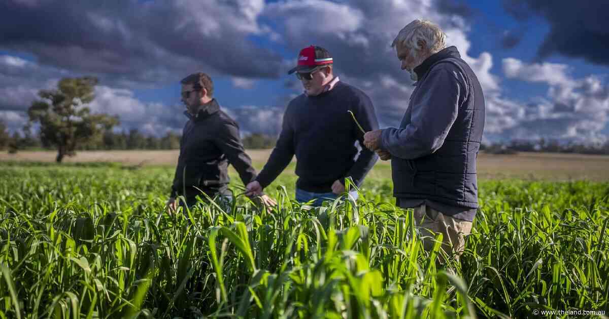Rockvale with productive soils, outstanding water, quality improvements