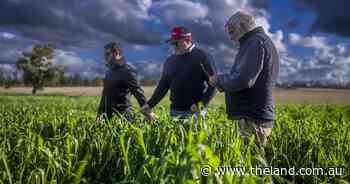 Rockvale with productive soils, outstanding water, quality improvements