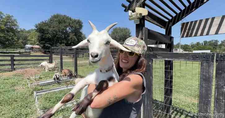 Georgia mother trades city life to raise children on green pastures: "Swept up in the magic"