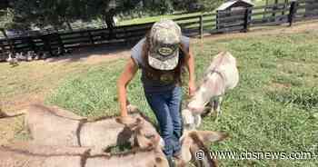 Georgia mom trades fast-pace of city living for farm living