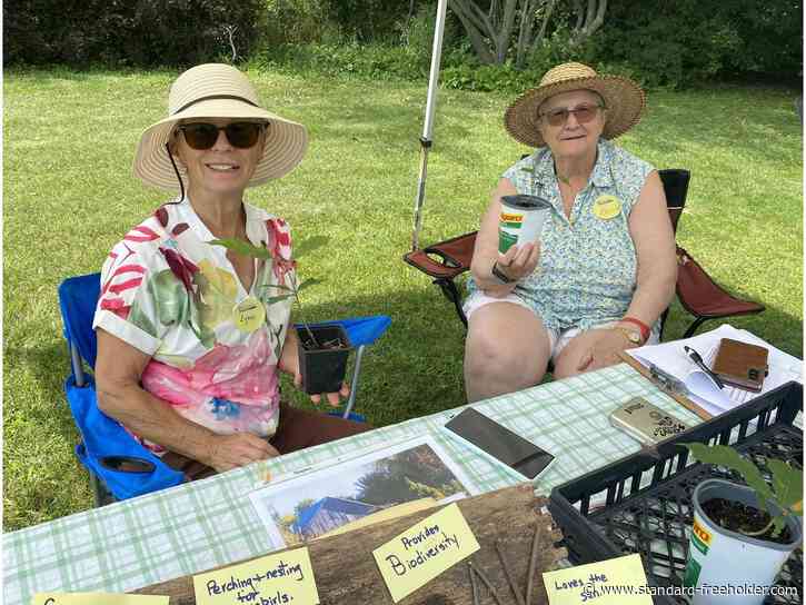 An enticing window into sustainability at Backyard Food Day near Newington