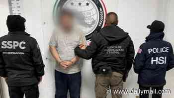 Aussie cops smash alleged online child abuse ring operating around the globe - as arrests are made in five countries