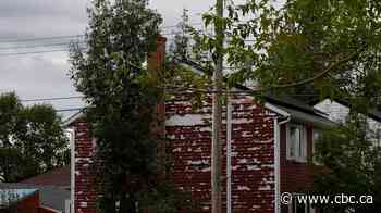 Severe hailstorm hits central Alberta, residents left with significant damage