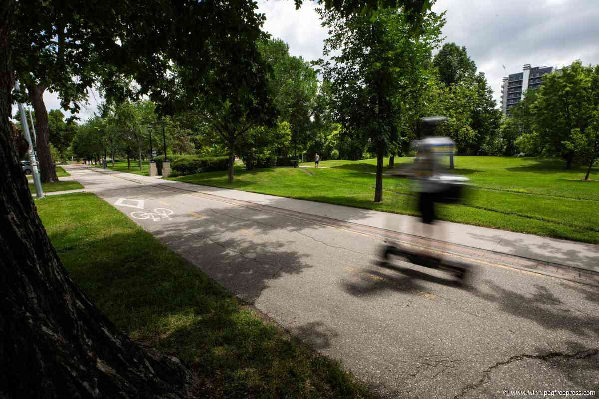 Teacher starts petition to reduce e-scooter injuries