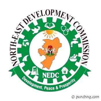 NEDC installs solar power systems in Adamawa LGs