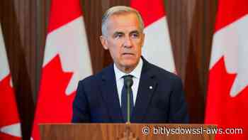 Mark Carney, el primer ministro de Canadá que desafía a Trump y acepta pelear en la guerra comercial con EE.UU.