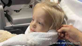 Family says cop neighbor's K-9 attacked their 2-year-old daughter and left them with mammoth medical bills of $300K