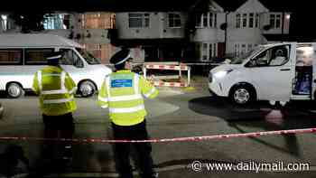 Man is charged with murder and eight counts of attempted murder after killer house fire in Hounslow: Victim is named