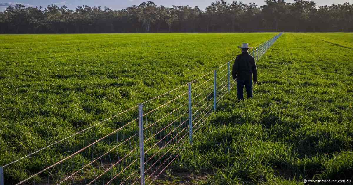 Premium river country featuring rich alluvial and red loam soils | Video
