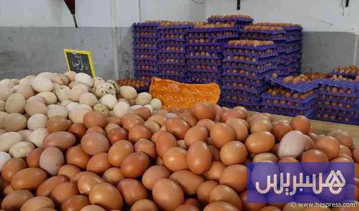 مهنيون يبررون الزيادة في أسعار البيض بالمولد النبوي والدخول المدرسي