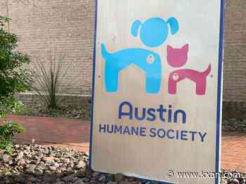 Austin Humane Society speaks on Clear the Shelters event
