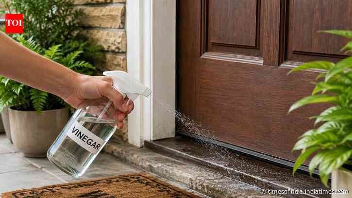 5 reasons why people sprinkle vinegar at their front door and home entrance