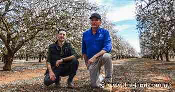 Impacts on almonds to pastures: treatment-resistant varroa wipes out thousands of hives