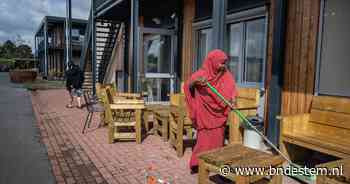 Gemeentelijke asielopvang: goedkoper en harmonieuzer