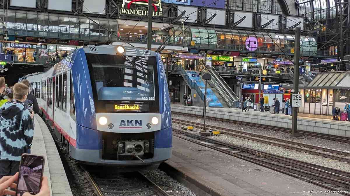 Reaktivierung Bergedorf-Geesthacht-Bahn: Ohne Hamburg geht’s nicht
