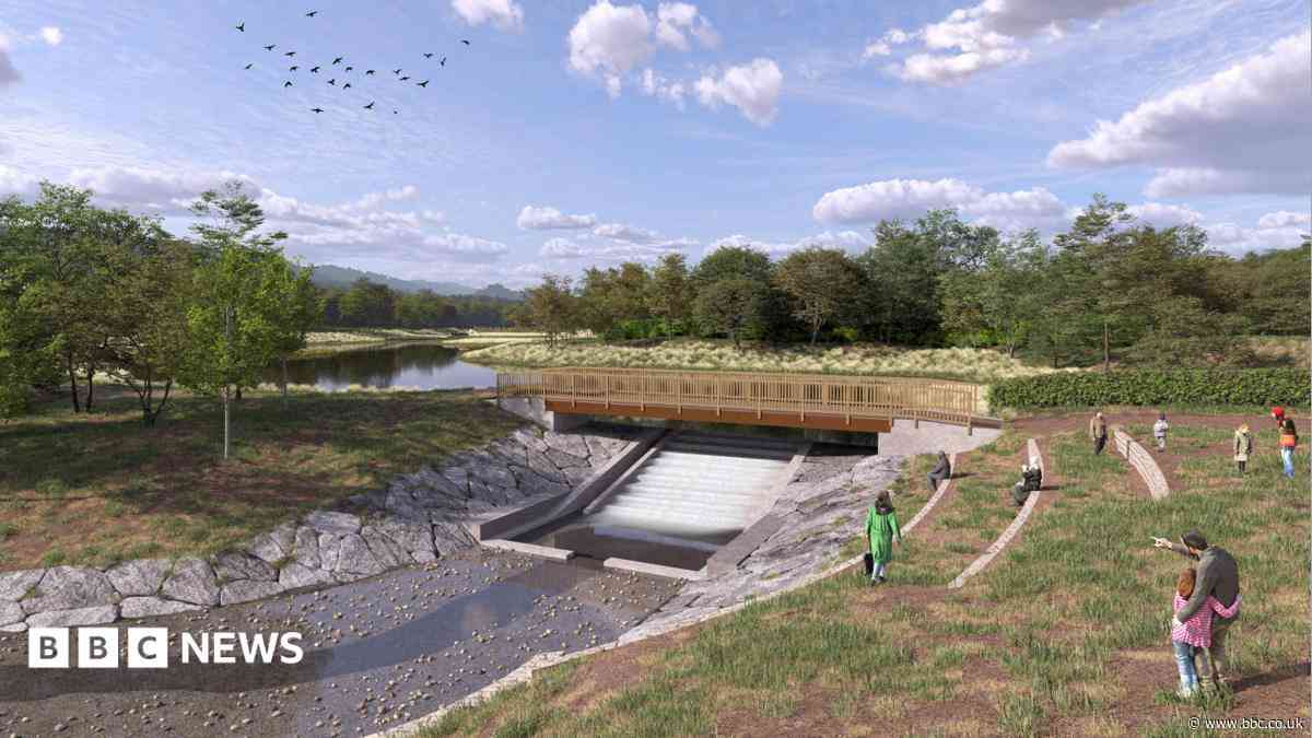 Hope restoring historic ponds will boost wildlife
