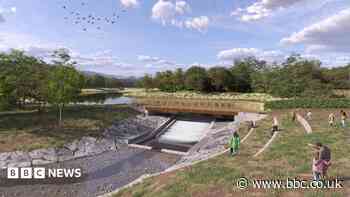Hope restoring historic ponds will boost wildlife