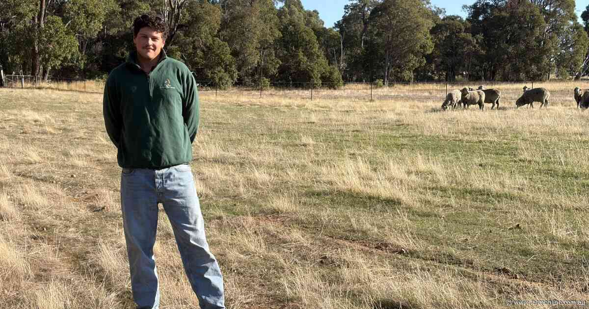 'You could be on Rottnest instead': the ag sector's backpacker dilemma