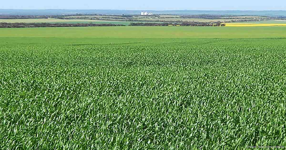 Chance to expand your cropping country with two central EP farms for sale