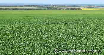 Chance to expand your cropping country with two central EP farms for sale