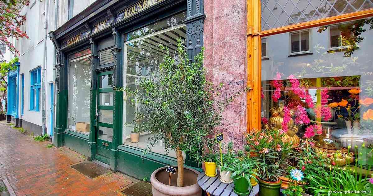 Deze woningen tot 3 ton staan al langer dan een half jaar te koop in Arnhem