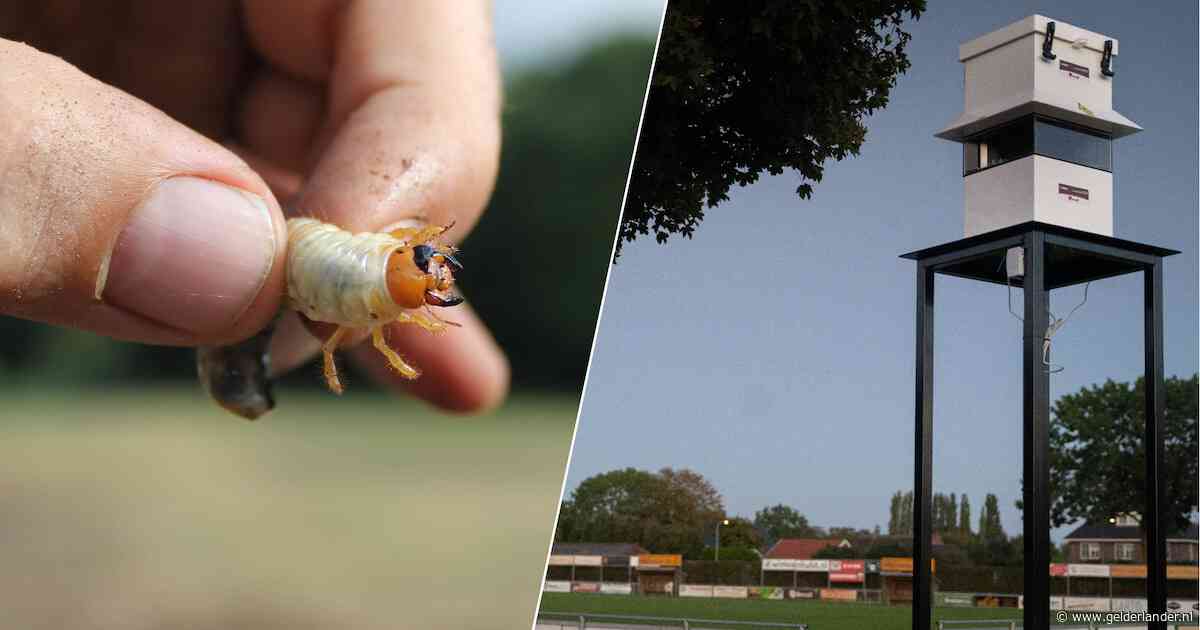 Voetbalveld onbespeelbaar door aanvallen ‘van onder en boven’, speciale laser moet uitkomst bieden