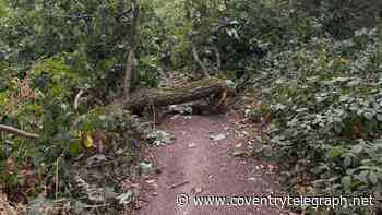Coventry woodlands battle steps up into new campaign over access