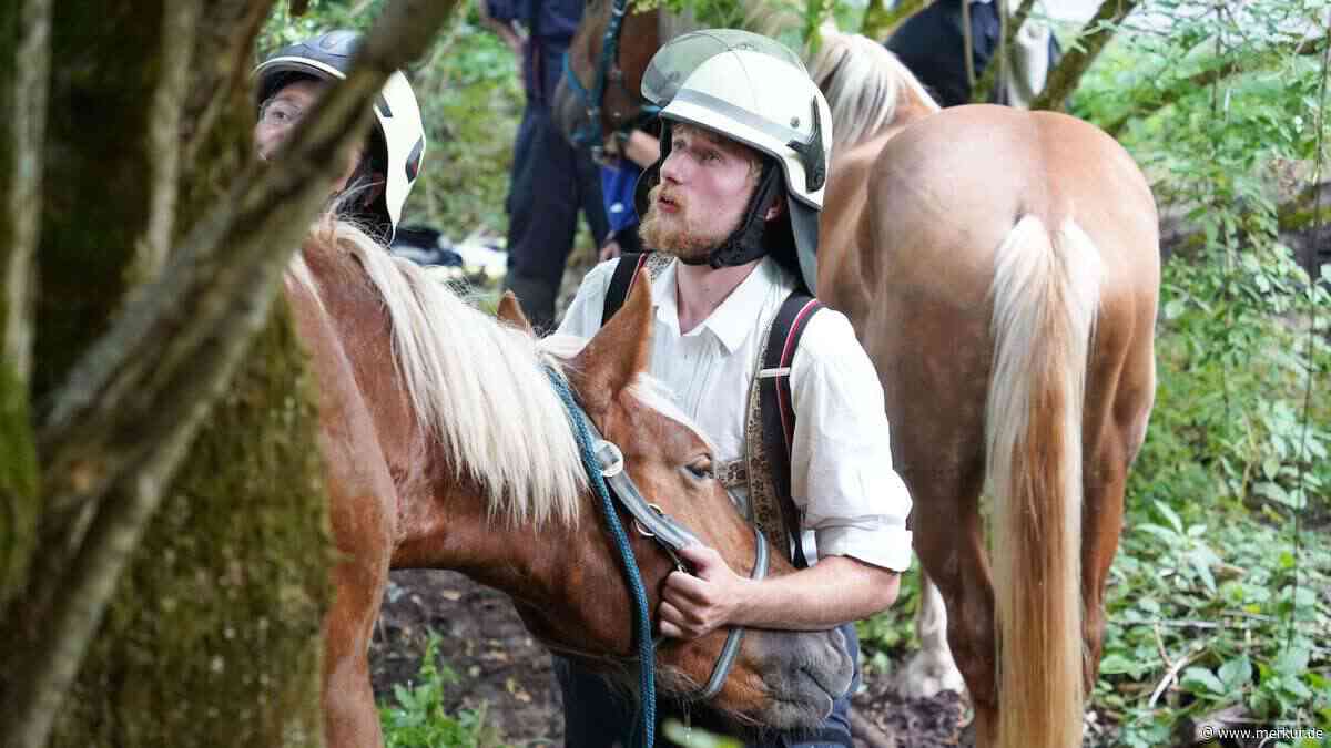 Alarm beim Tag der offenen Tür: Feuerwehr muss eingeklemmtes Pferd retten