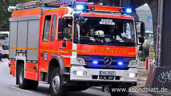 Drei Autos brennen in Hummelsbüttel – Polizei ermittelt wegen Brandstiftung