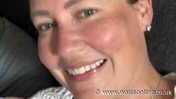 'I haven't used my own garden for years due to false widow infestation'
