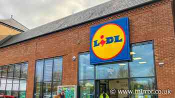 Lidl £3 decor piece looks like £17 Dunelm and £25 John Lewis available now