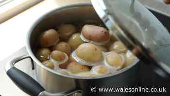 Simple water method to boil potatoes so they're 'creamy' and don't fall apart