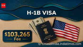 ‘Gut punch’: What Trump’s new $103,265 H-1B visa fee proposal means for Indian aspirants