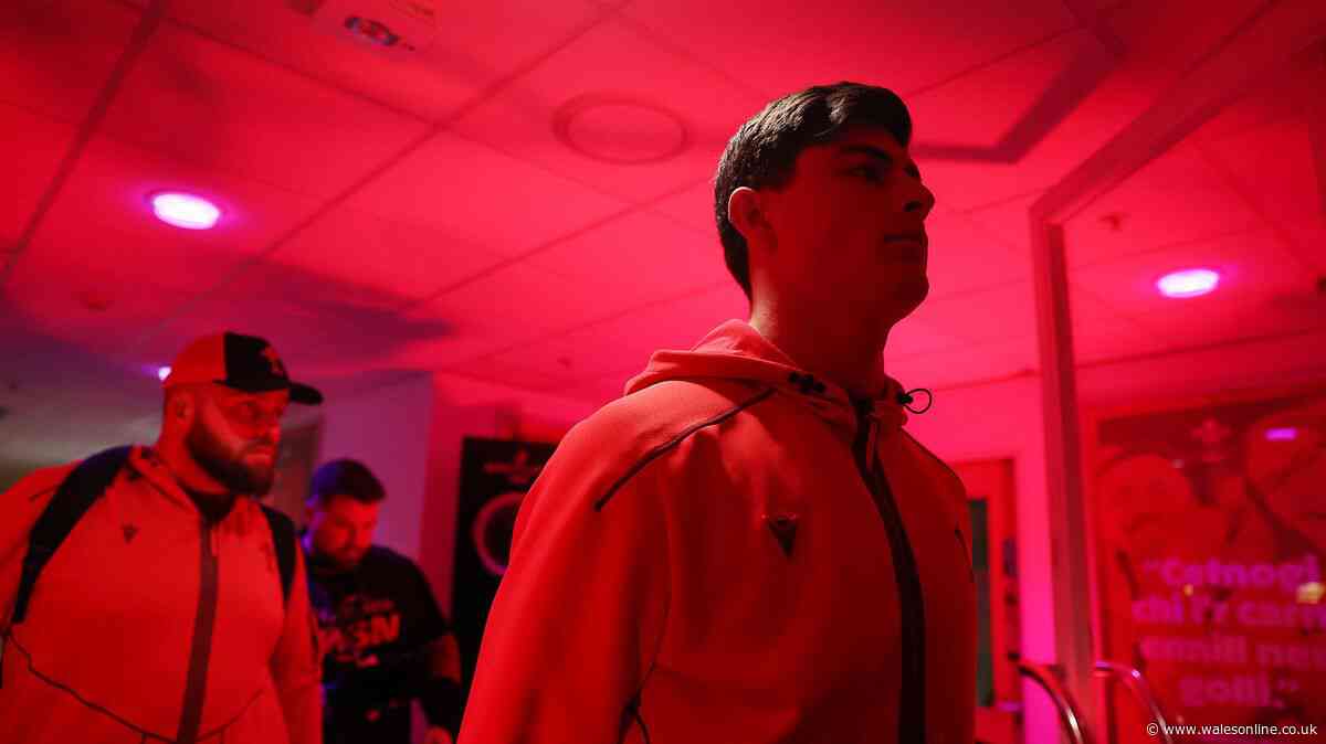 Wales handed huge autumn boost and Rees-Zammit sends out clear message