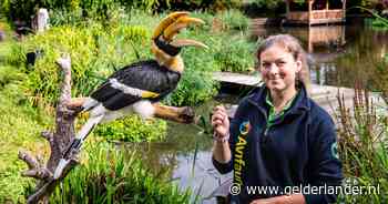 Roze kaketoe en zelfs een pinguïn: Avifauna-verzorger Selena vertelt waarom vogels steeds ‘ontsnappen’