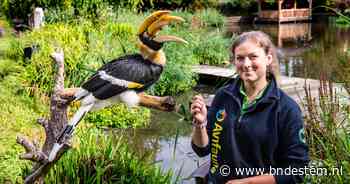 Roze kaketoe en zelfs een pinguïn: Avifauna-verzorger Selena vertelt waarom vogels steeds ‘ontsnappen’