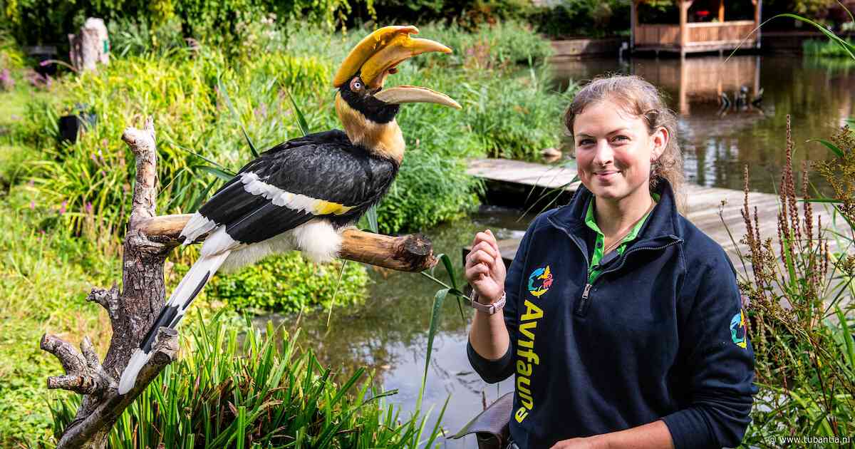 Roze kaketoe en zelfs een pinguïn: Avifauna-verzorger Selena vertelt waarom vogels steeds ‘ontsnappen’